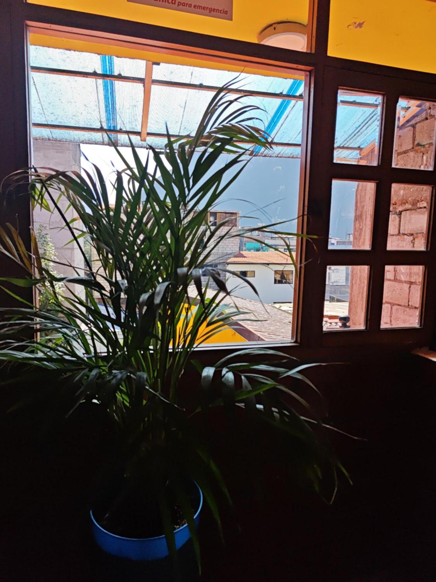 Garden House Hostal Baños Екстериор снимка